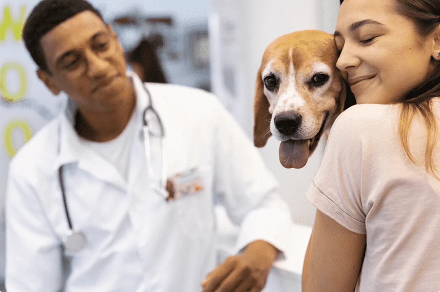 Aviso Legal de Clínica Veterinaria CentralVet Alcorcón